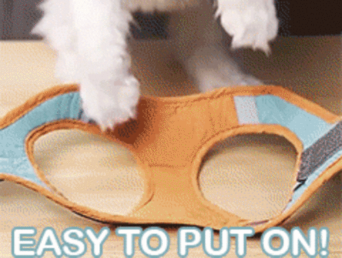 Adjustable Cat Harness & Leash Set | Reflective Escape-Proof Walking Vest