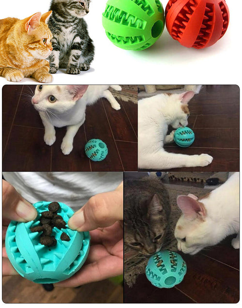 Interactive Pet Feeder & Teeth Cleaning Ball