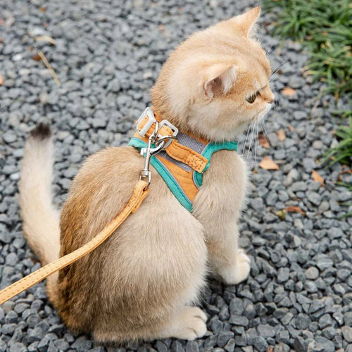 Adjustable Cat Harness & Leash Set | Reflective Escape-Proof Walking Vest